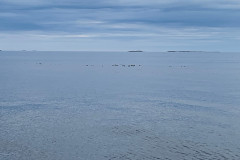 IMG_8949